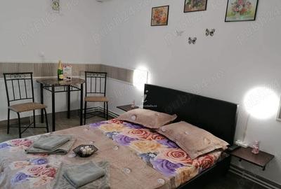 Inchiriez garsoniere de sezon,Saturn - 4