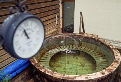 Spa cu renume si business welness functional - 3