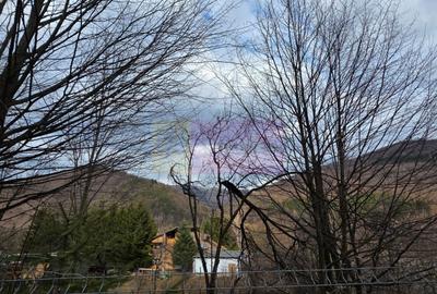 Teren Construcții intravilan de 1653 mp, în Valea Doftanei - 17