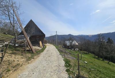 Casă cu 2 camere în Albac - 4