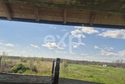 Casă individuală cu 3 camere cu Canalizare în Albota - 12