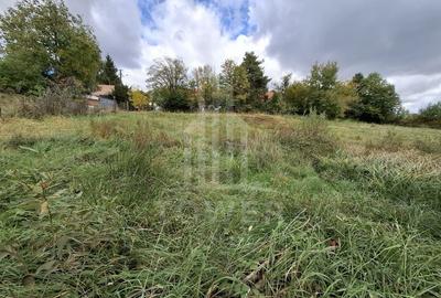 Teren intravilan cu Puz si priveliște deosebită, spre Cetatea Cisnădioara - 6