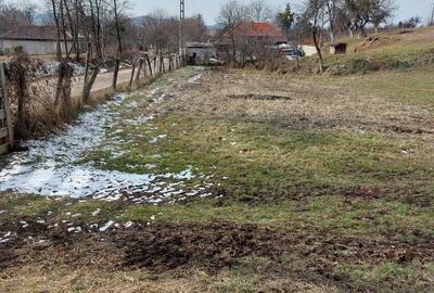 Teren de 1305 mp, în Valea Crișului - 2