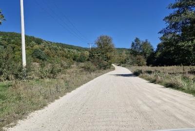 Casă de vacanță sau permanentă, pe deal, cu curte terasată și priveliște superbă - 14