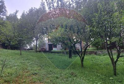 Casă individuală cu 5 camere cu Teren 3026 Mp în Schiulești - 11