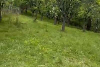 Teren de 2050 mp, în Bărbătești - 2
