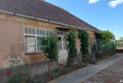 Vand casa localitatea Petreu - 3