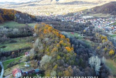 PADURE LANGA ORAS, ACCES BUN, IDEALA PENTRU ACTIVITATI DE AGREMENT - 10
