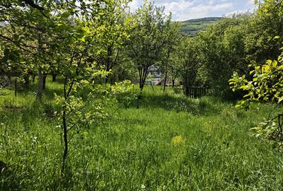 Casă individuală cu 2 camere cu Teren 1000 Mp în Exterior Sud - 19