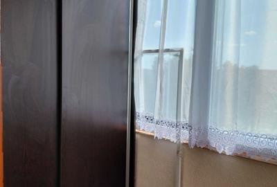 Apartament cu 3 camere decomandat în Nufărul - 6