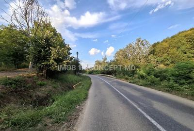 Teren spectaculos cu padure, livada si priveliste panoramica in Soimari PH - 1