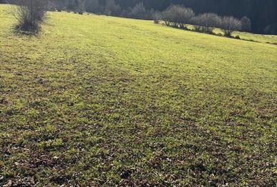 Spațiu comercial, în Vatra Moldoviței - 6