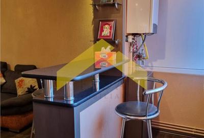 Apartament cu 3 camere decomandat în Aradul Nou - 15