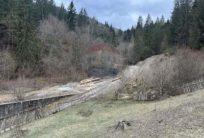 Teren 2,000mp Stejaru (Pangarati) / None - 4