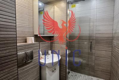 Garsonieră nedecomandată, mobilată în Brazda lui Novac - 11