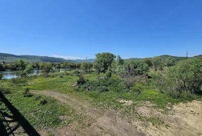 Teren de 12667 mp, în Șoimuș - 8