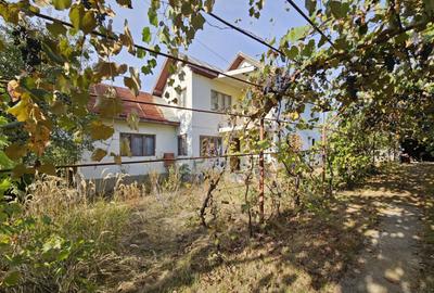 Casa P+1, comuna Dane?ti, 10 km distan?a de Tg. Jiu - 20