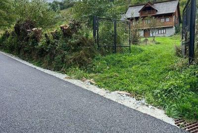 Casă cu 4 camere cu Teren 11000 Mp în Săliște - 14