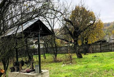 Teren intravilan 1570 mp in sat Magura (Hulubesti), Dambovita, deschidere 31ml - 1