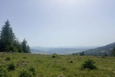 Spațiu comercial, în Dorna Candrenilor - 2