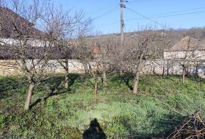 Casă individuală cu 3 camere cu Teren 738 Mp în Ohaba - 15