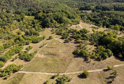 Terenuri 12.225 mp - Ramnicu Valcea, Aranghel - 3