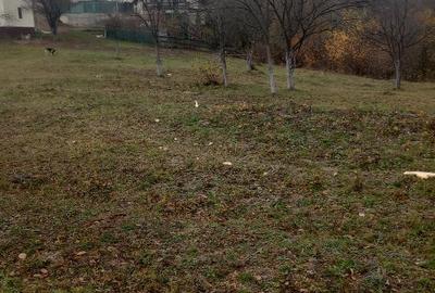 Teren Construcții intravilan de 4062 mp, în Cătunu (Drajna) - 8