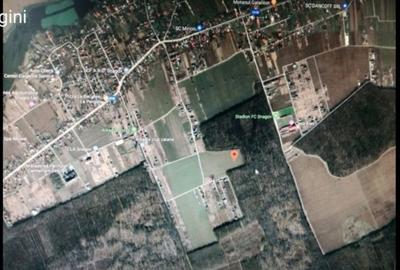 Teren Construcții intravilan de 736 mp, în Snagov - 4