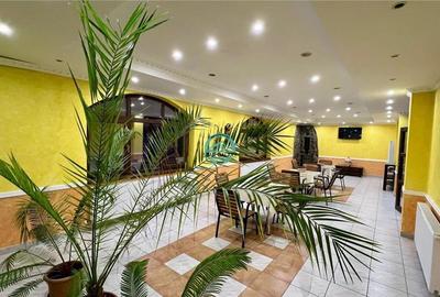 Oportunitate ! Pensiune 7 camere, 4 apartamente, 760mp utili la E60 - 19