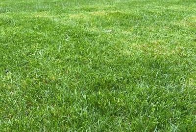 Vila de vanzare in localitatea Ovidiu - 1