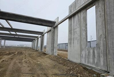 Vanzare hale/depozite/productie -industrial-Chitila - Rudeni, ILFOV Vanzare hale/depozite/productie -industrial-Chitila - Rudeni, ILFOV - 12