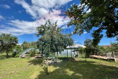 Casa str. Progresului , Sebes, destinatie : uni/multifam... - 5