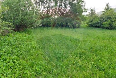 Teren Construcții intravilan de 4223 mp, în Tohănița - 16