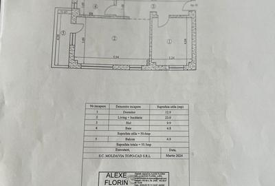 Apartament 2 camere, 55mp, mutare imediata in Visan - 10
