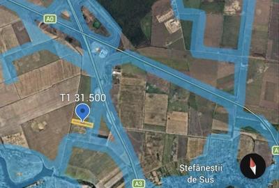 Teren de 31500 mp, în Ștefăneștii de Jos - 1
