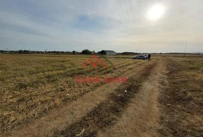 Teren intravilan in Baicoi zona targului--10.000mp--5e - 3