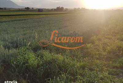Teren de 11800 mp, în Stupini - 3