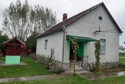 Casa de vanzare in sat Capalnas, comuna Birchis - 1