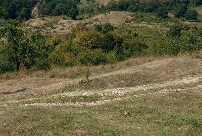 Teren de 6200 mp, în Viperești - 6