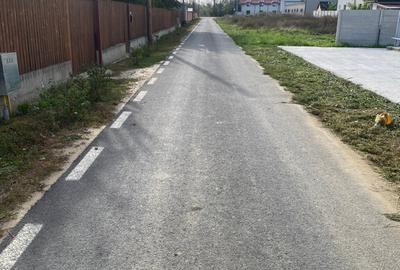 Hala Metalica Spa?iu Comercial Sud Bolintin Vale Giurgiu - 10