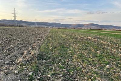 Spațiu comercial, în Orlat - 7