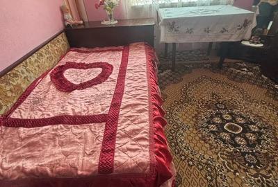 Casa de vanzare Rotunda jud Olt Casa de vanzare Rotunda jud Olt - 5