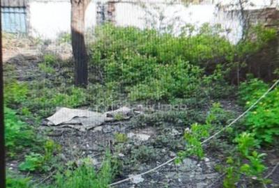 Teren pentru casa-Bucurestii Noi-pozitie foarte buna - 1