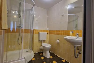 Spatiu pentru: sediu firma-birouri ,amenajat si mobilat pentru regim hotelier Airbnb. - 6