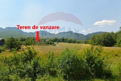 Teren 4,223mp Zarnesti - Tohanita - 1