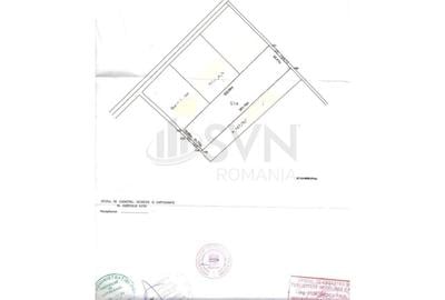 Teren Construcții intravilan de 10000 mp, în Dascălu - 3