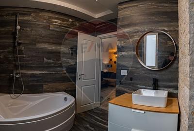 Apartament cu 2 camere semidecomandat, mobilat în Lunca Cetățuii - 9