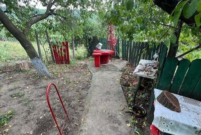 Vand Casa in sat Plopi com. Bunesti-Averesti - 3