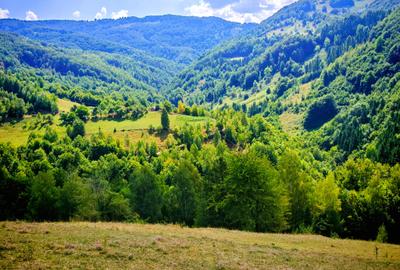 CASA TRADITIONALA, ANEXE si 46.980 mp teren partial INTRAVILAN BULZ - BIHOR - 25