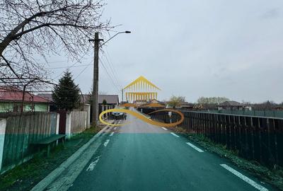 Teren de vanzare Filipesti Bacau 6838 mp - 9